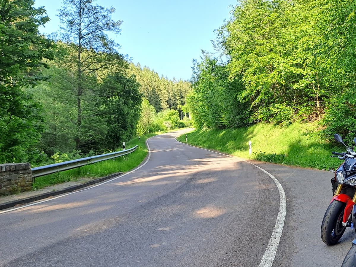 Een smal baantje dat in een bocht tussen de bossen verdwijnt, met een vangrail links en rechts aan de rand nog net het voorwiel van een motor.